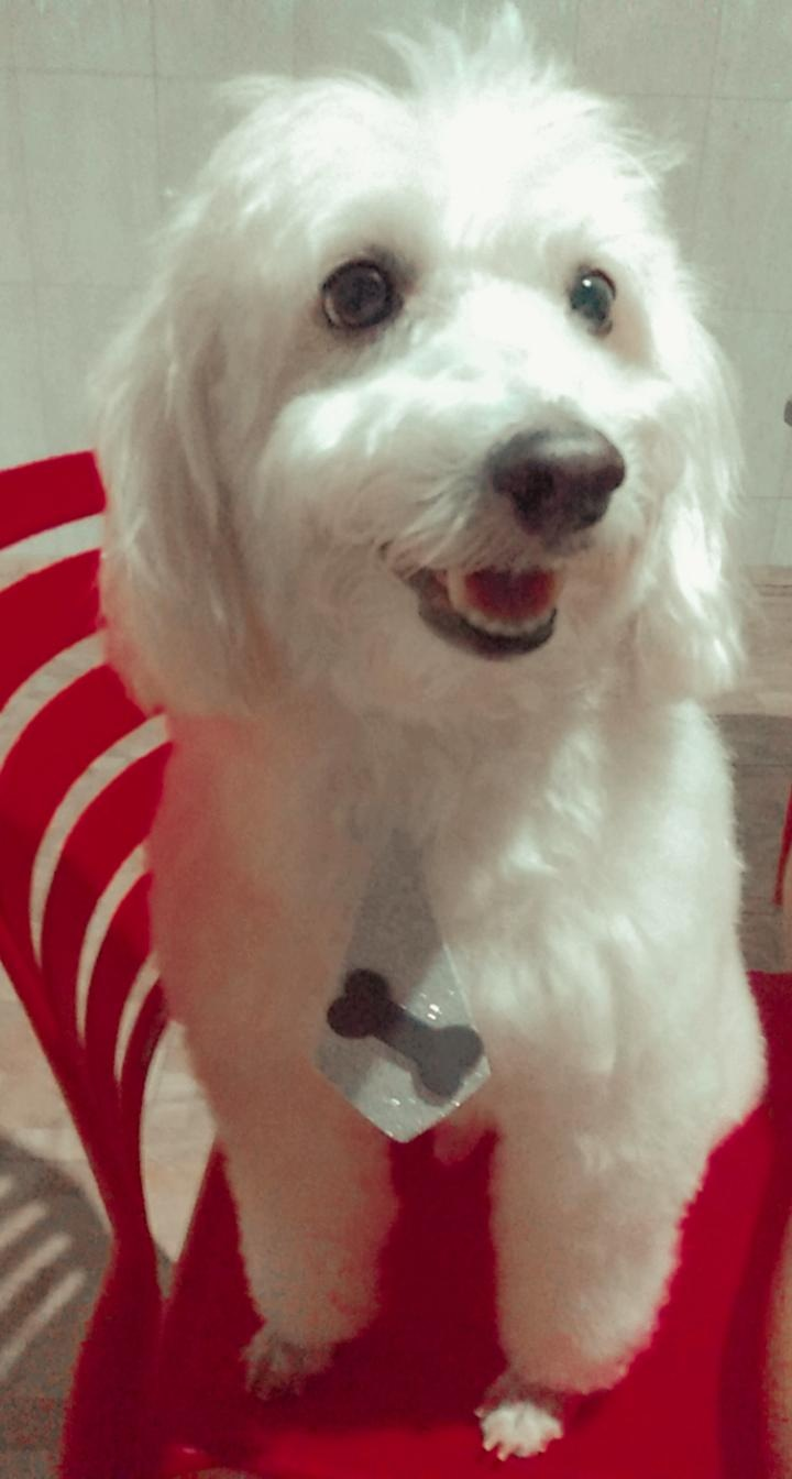 Beethoven 