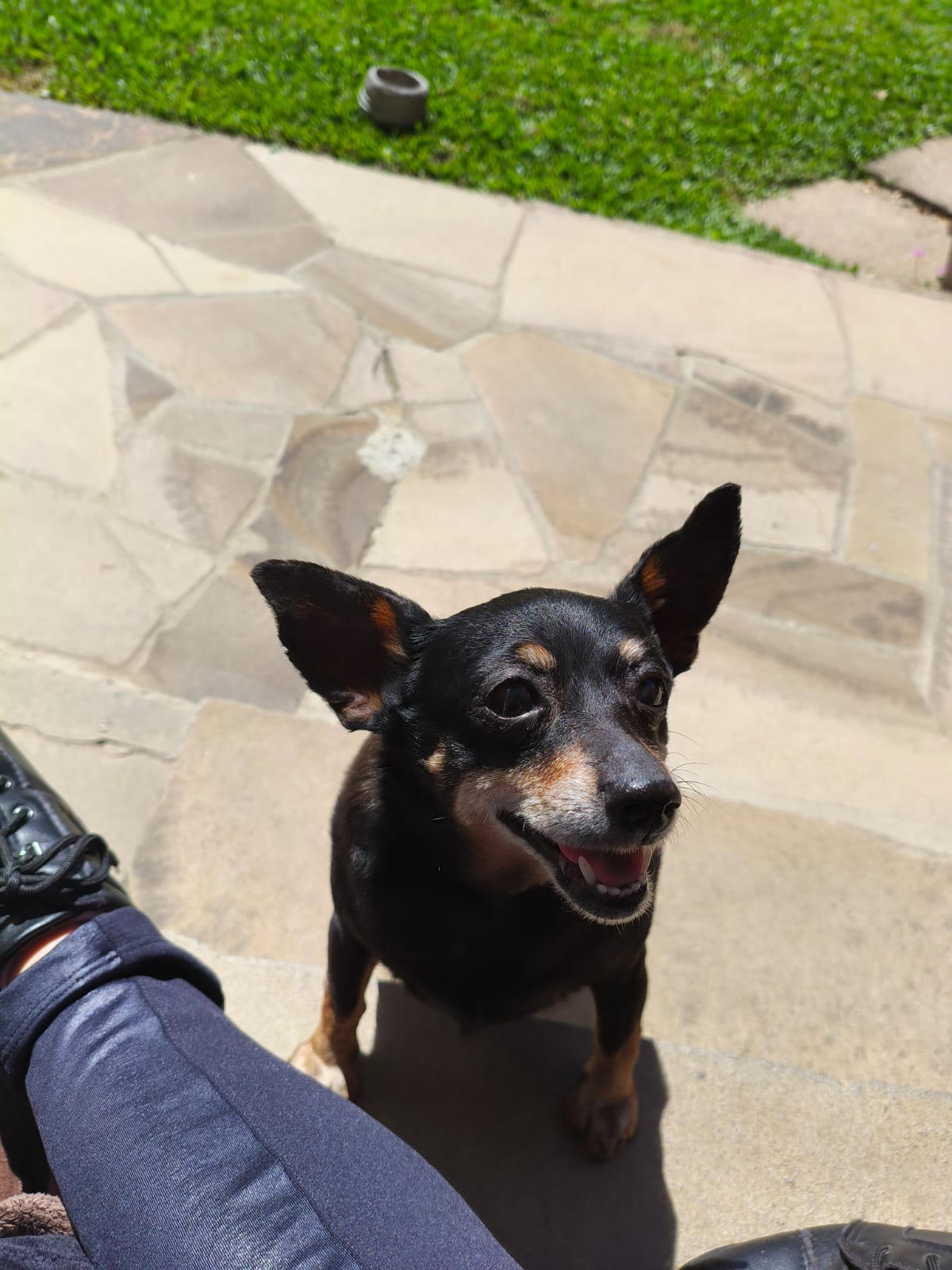 Dora
