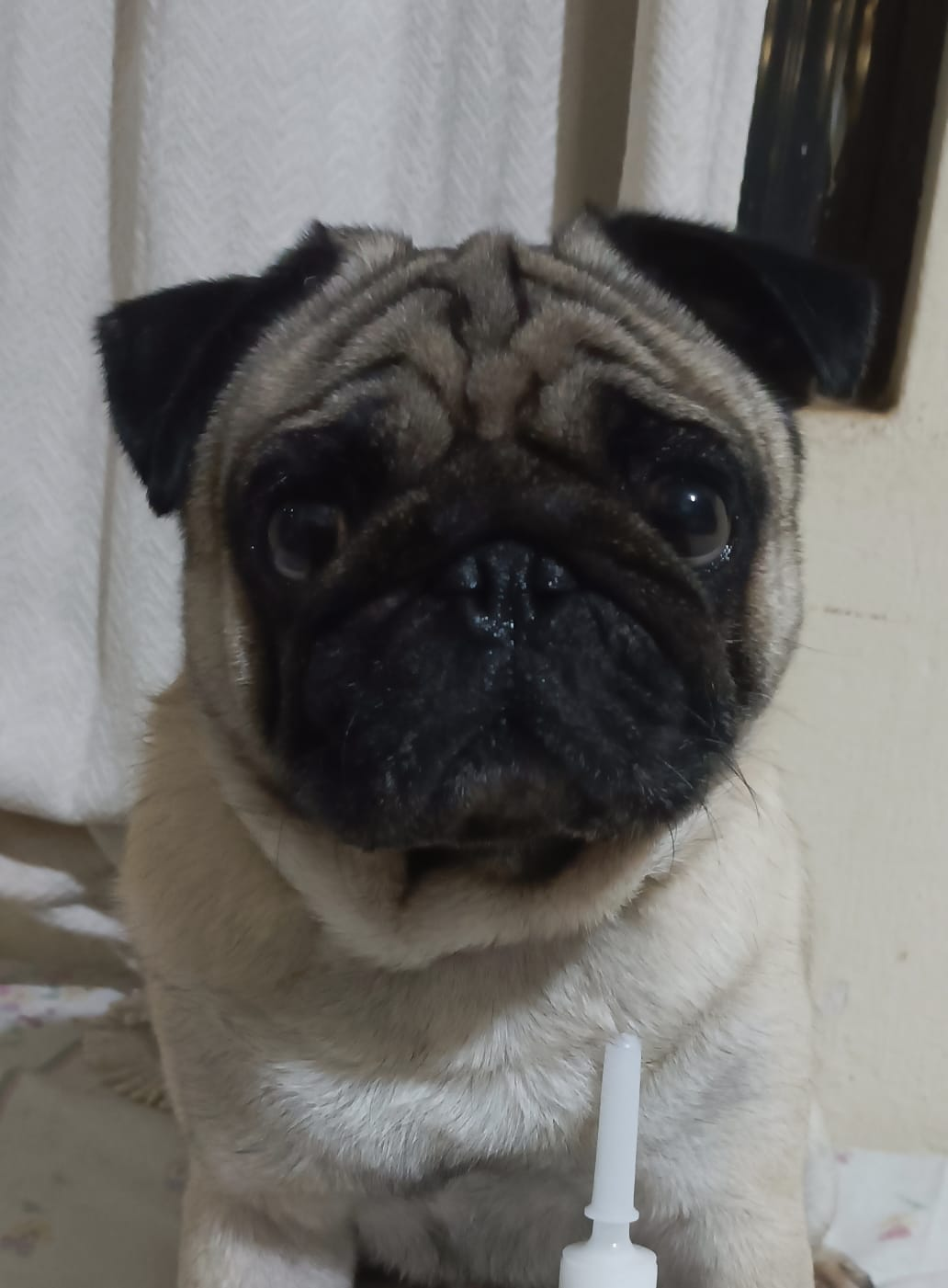Théo