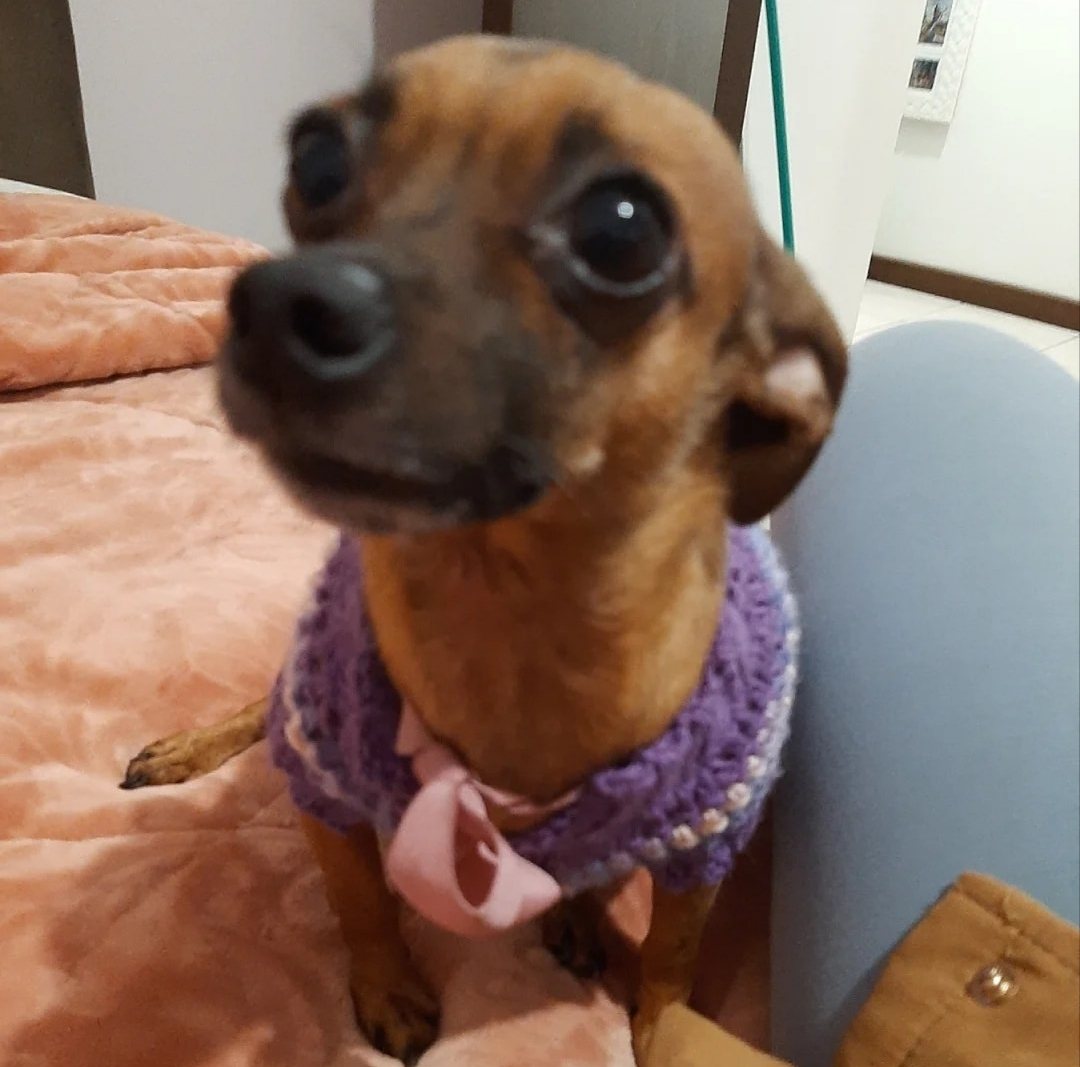 Mel